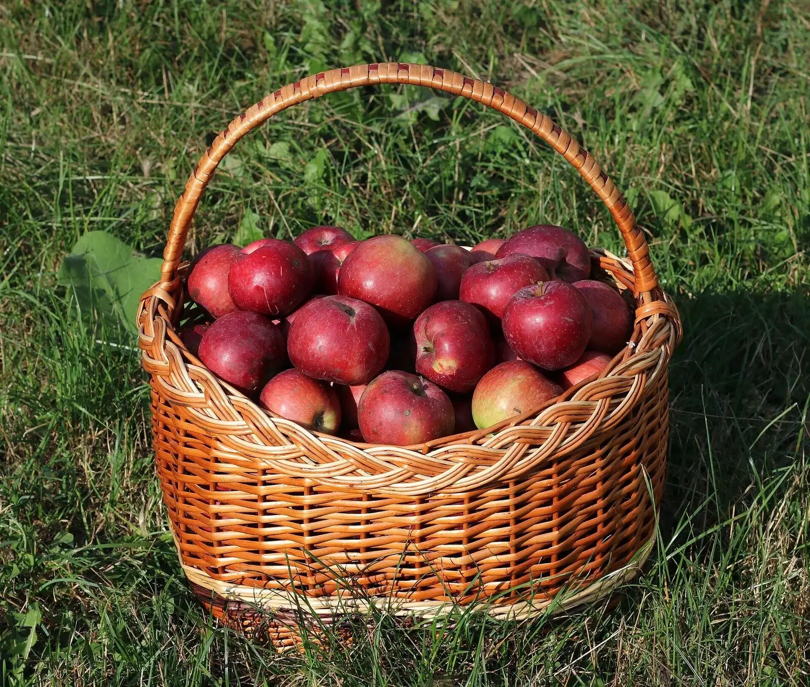 Coffret Gourmand