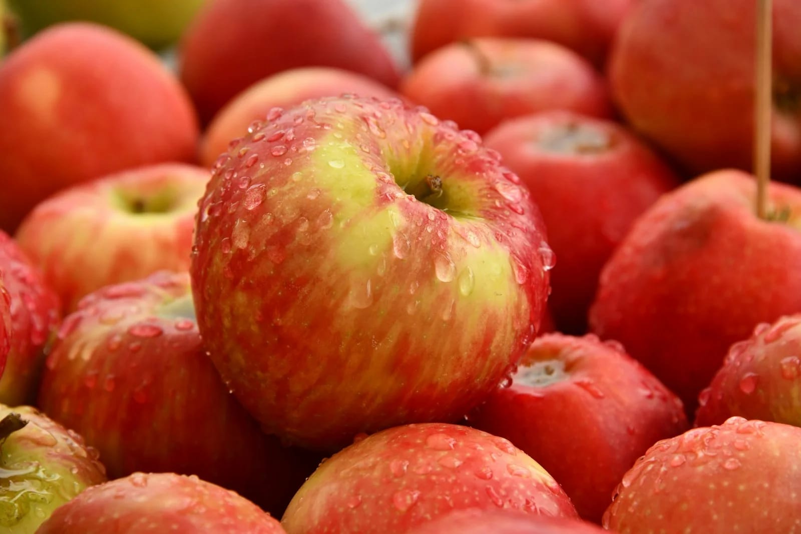 Pommes Dalirene bio