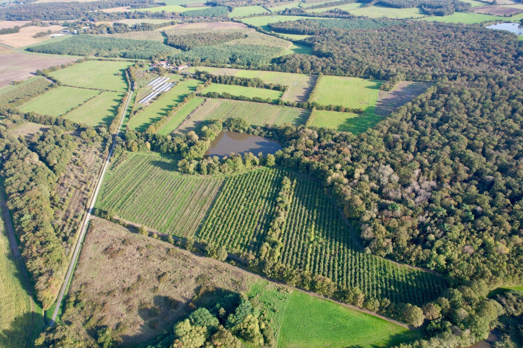 Vue aérienne de l'exploitation - vergers et forêts