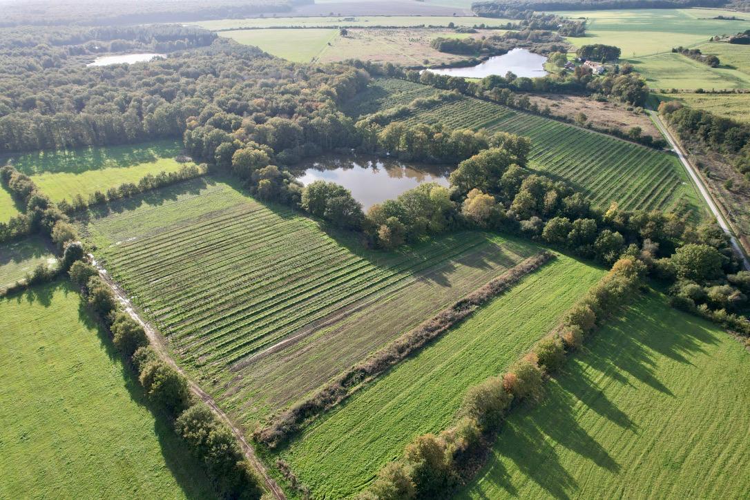 Vue aérienne au drone — l'exploitation, ses parcelles et étangs
